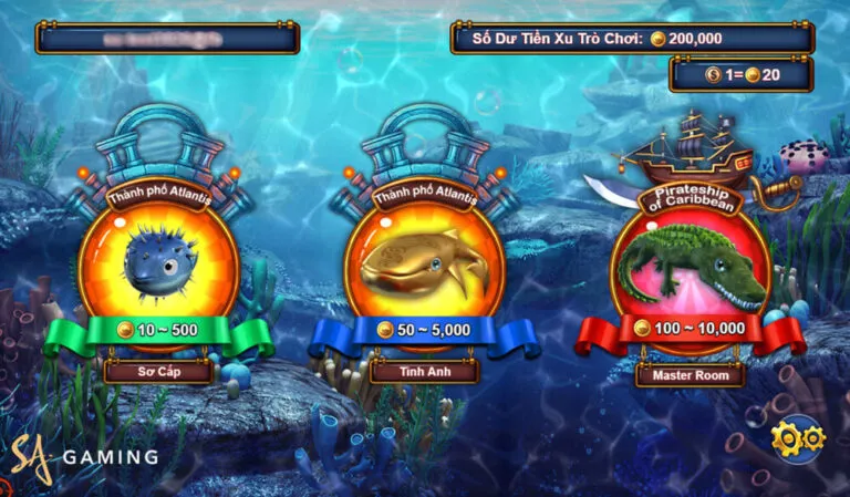 Tổng hợp các cách chơi Fish Catch cho người mới